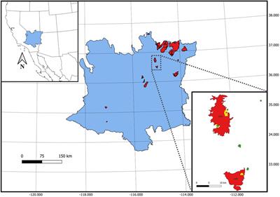 Homogenization of soil seed bank communities by fire and invasive species in the Mojave Desert